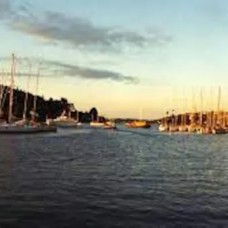 Cosy Cork